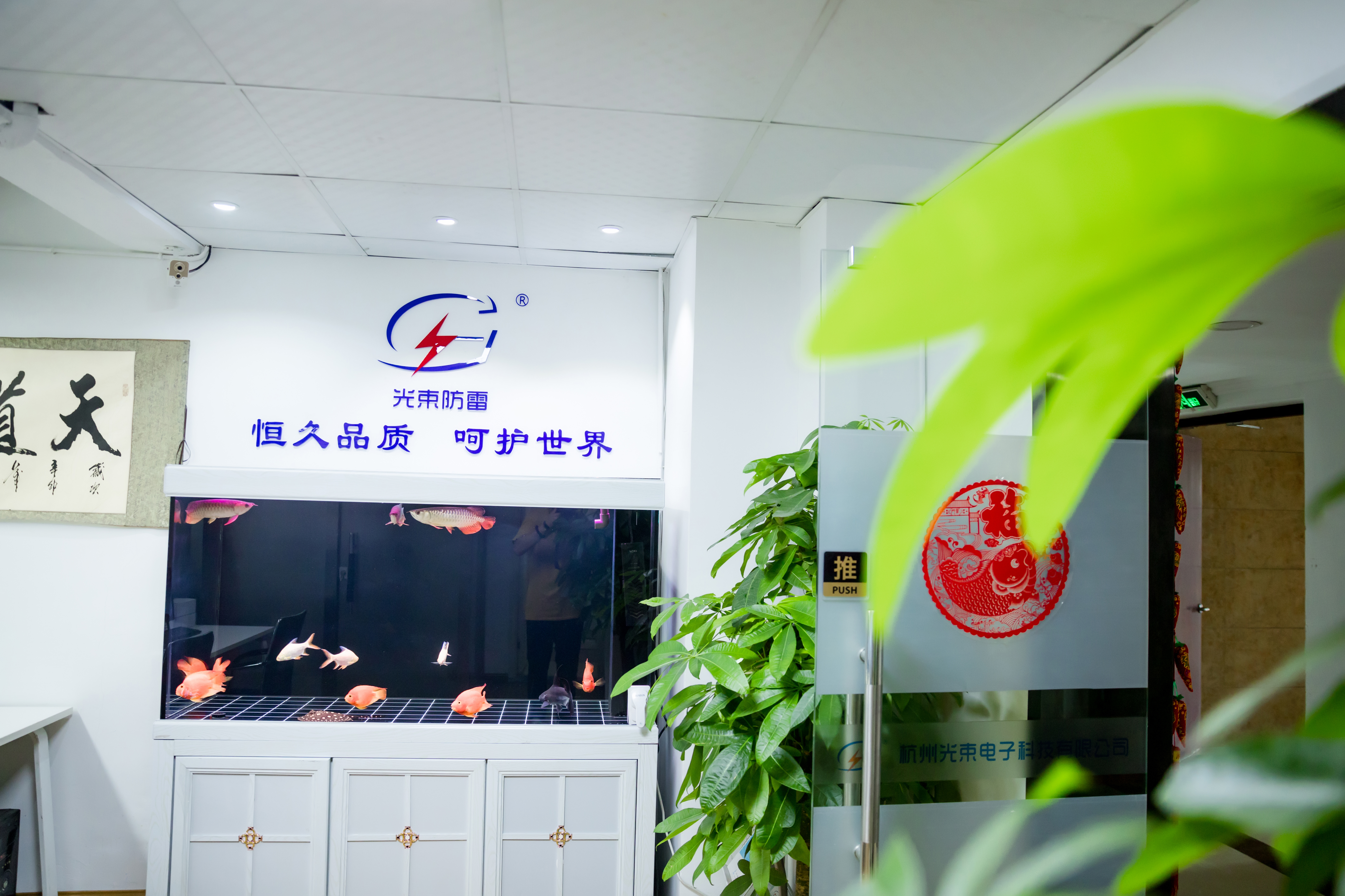 浪涌保護(hù)器包驗(yàn)收通過(guò)廠家