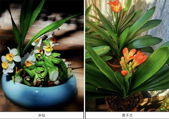 2022062116557776701014306199.png 6.png